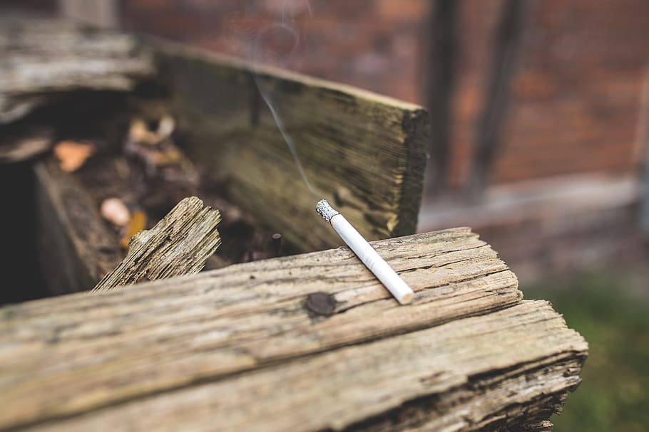 cigarette, smoke, smoking, wood, wood - material, selective focus, close-up, day, focus on foreground, nature
