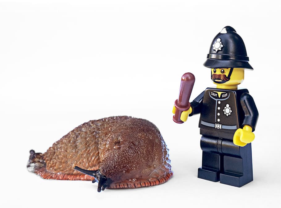 brown snail, slug, policeman, lego, garden, pest, gardening, police, officer, law