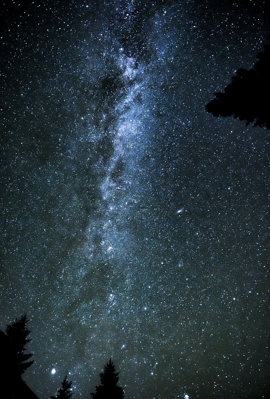 astronomy, galaxy, milky way, space, darkness, night, star - space, sky, low angle view, beauty in nature