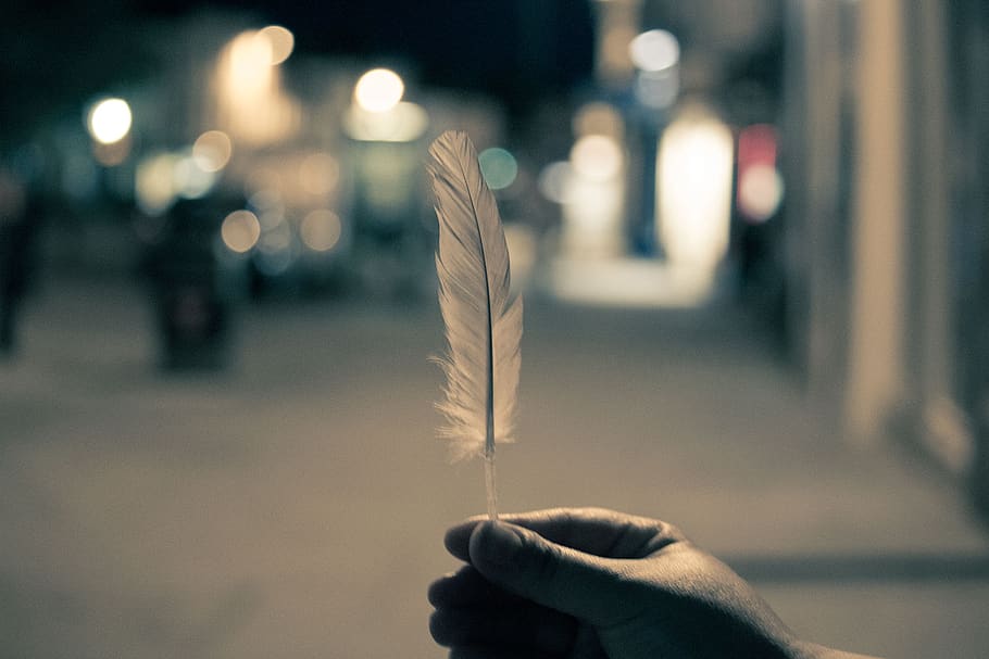 feather, hands, night, lights, blurry, city, human hand, holding, focus on foreground, human body part