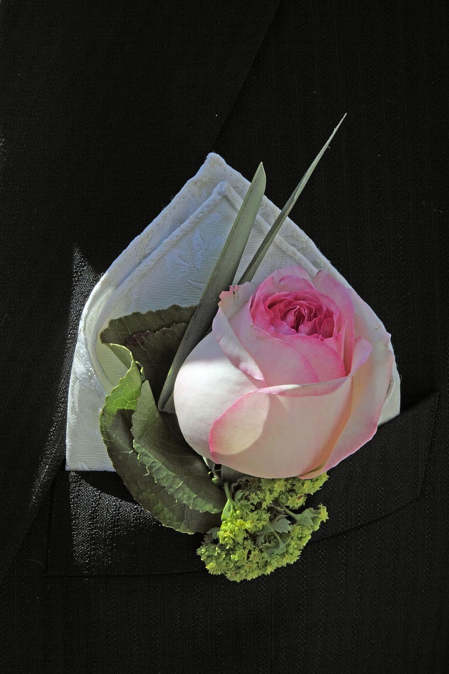 Wedding, Groom, Handkerchief, rose, freshness, flower, studio shot, food and drink, black background, flowering plant