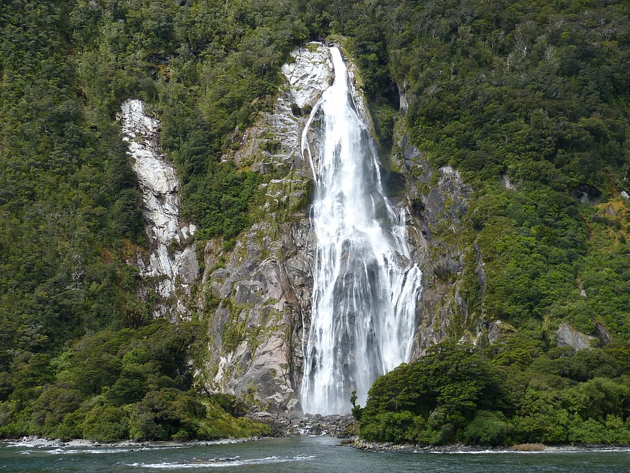waterfall, surrounded, trees, water, waters, murmur, new zealand, milford sound, landscape, nature