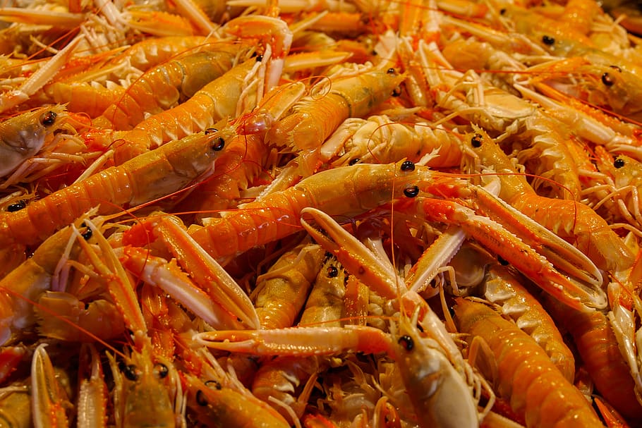 eat, drink, crab, lobster crab, sea fruit, food, scissors, sleeve, fish market, shrimp