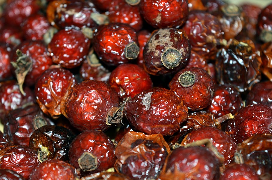 berry, natural medicine, organic, vitamins, dried berries, nutrition, red, bright, food, nature