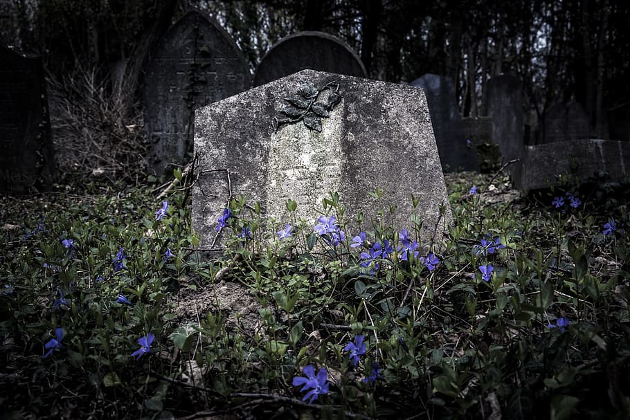 cemetery, old, old cemetery, tombstone, grave, tomb, last calm, burial ground, old grave stones, flowers