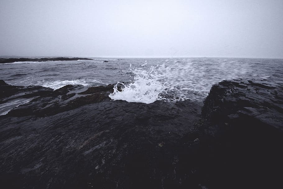 foto de la orilla del mar, escala de grises, foto, océano, agua, salpicaduras, orilla del mar, roca, olas, rocas
