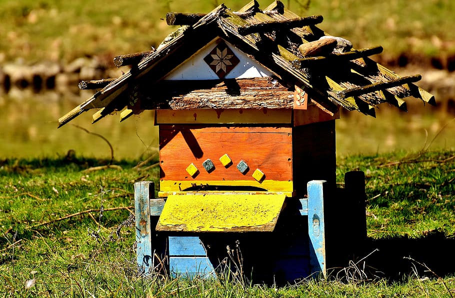 orange, yellow, wooden, house, miniature, green, grass field, beehive, bees, wood