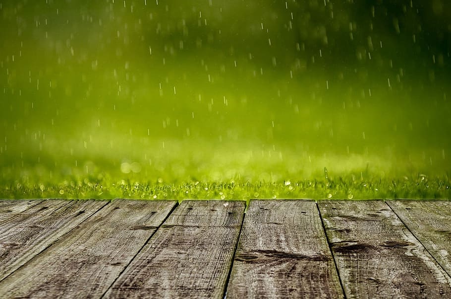 selective, focus photo, brown, planks, green, grasses, spring, background, grass, rain