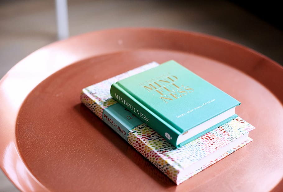 two, teal books, brown, tray, book, pages, sheet, diary, novel, table