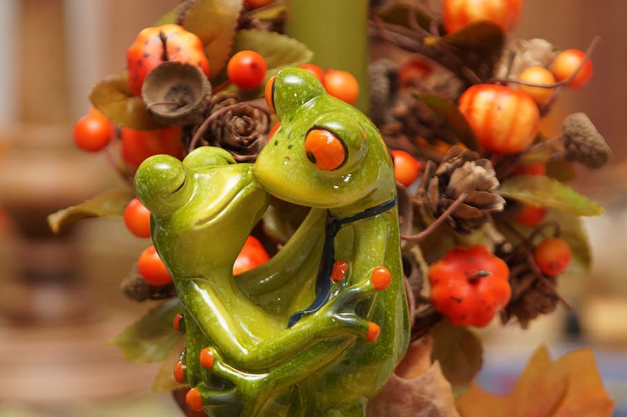 frog, frogs, funny, autumn colours, love, kiss, pair, umarmumg, intimate, orange