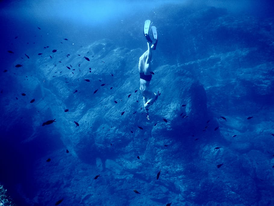 homem, nadadeiras, mergulho, embaixo da agua, peixes, corpo, agua, mar, oceano, azul