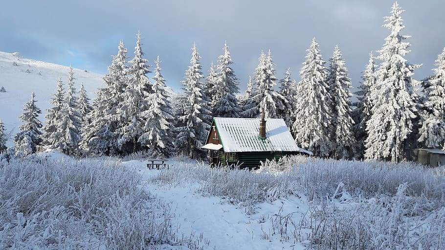 Snowy, Country, Loneliness, Chalet, snowy country, meadow, rime, winter, the clouds, snow