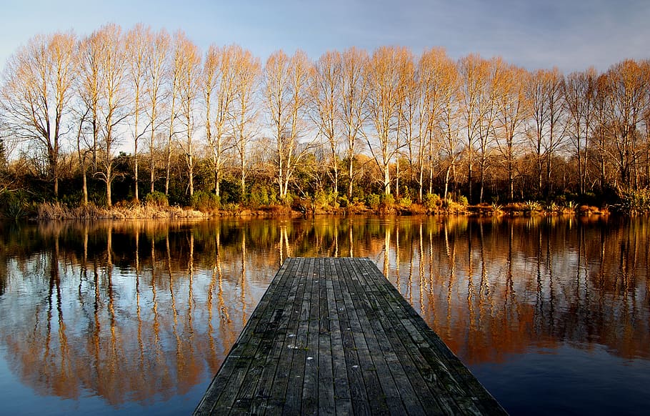 Lakes, Groynes, Christchurch, wooden, dock, lake, daytime, water, reflection, tree