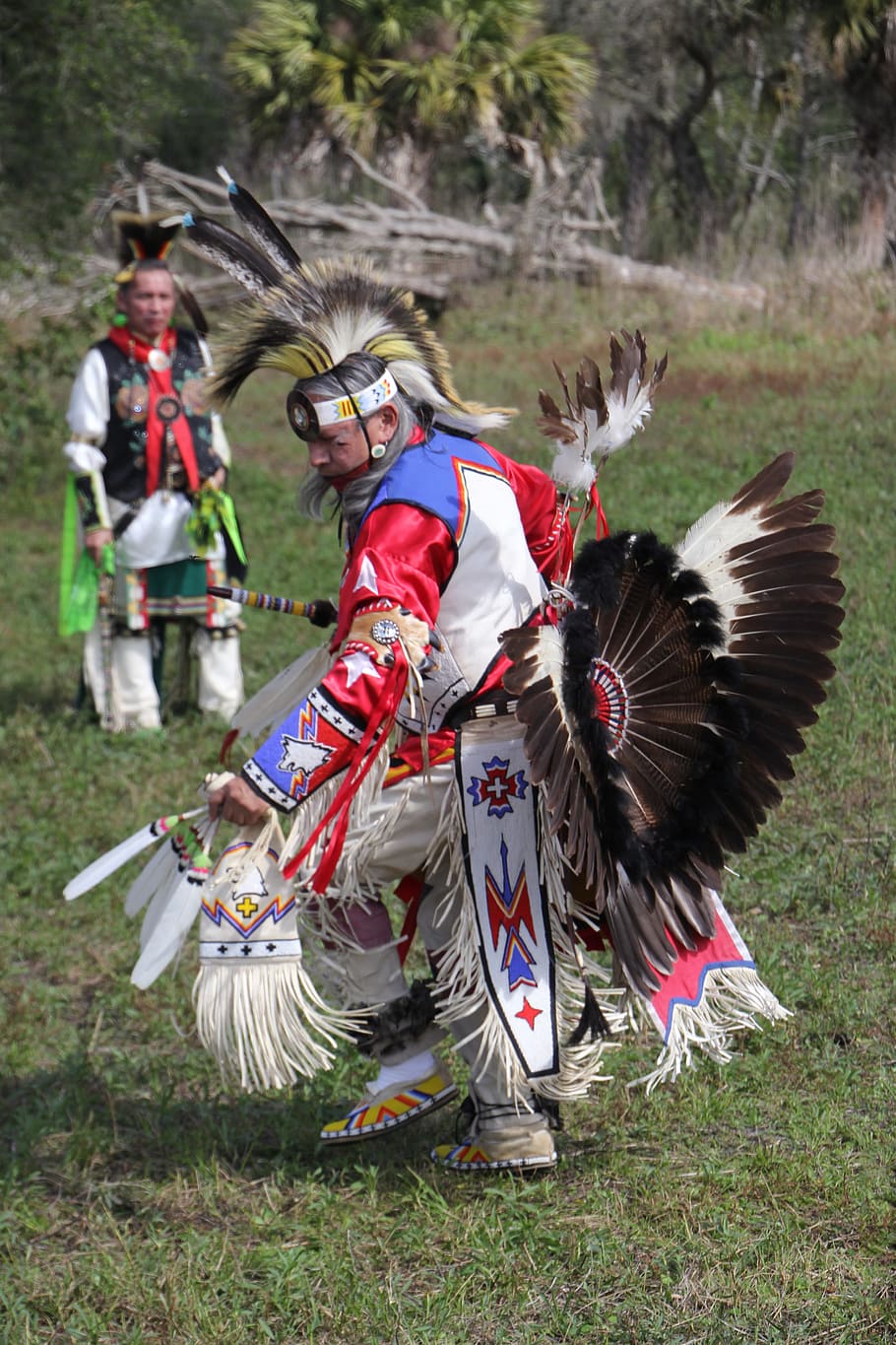 man, wearing, feather costume dancing, field, native american, dancer, costume, american west, indians, historical