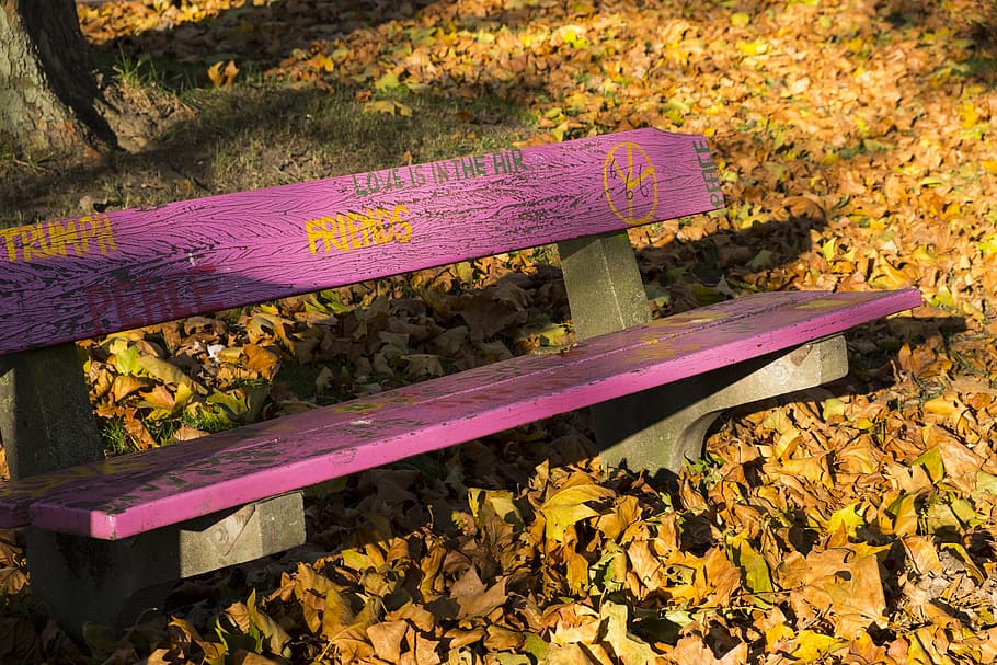 autumn, leaves, bank, bench, park bench, pink, art, artwork, sit, seat
