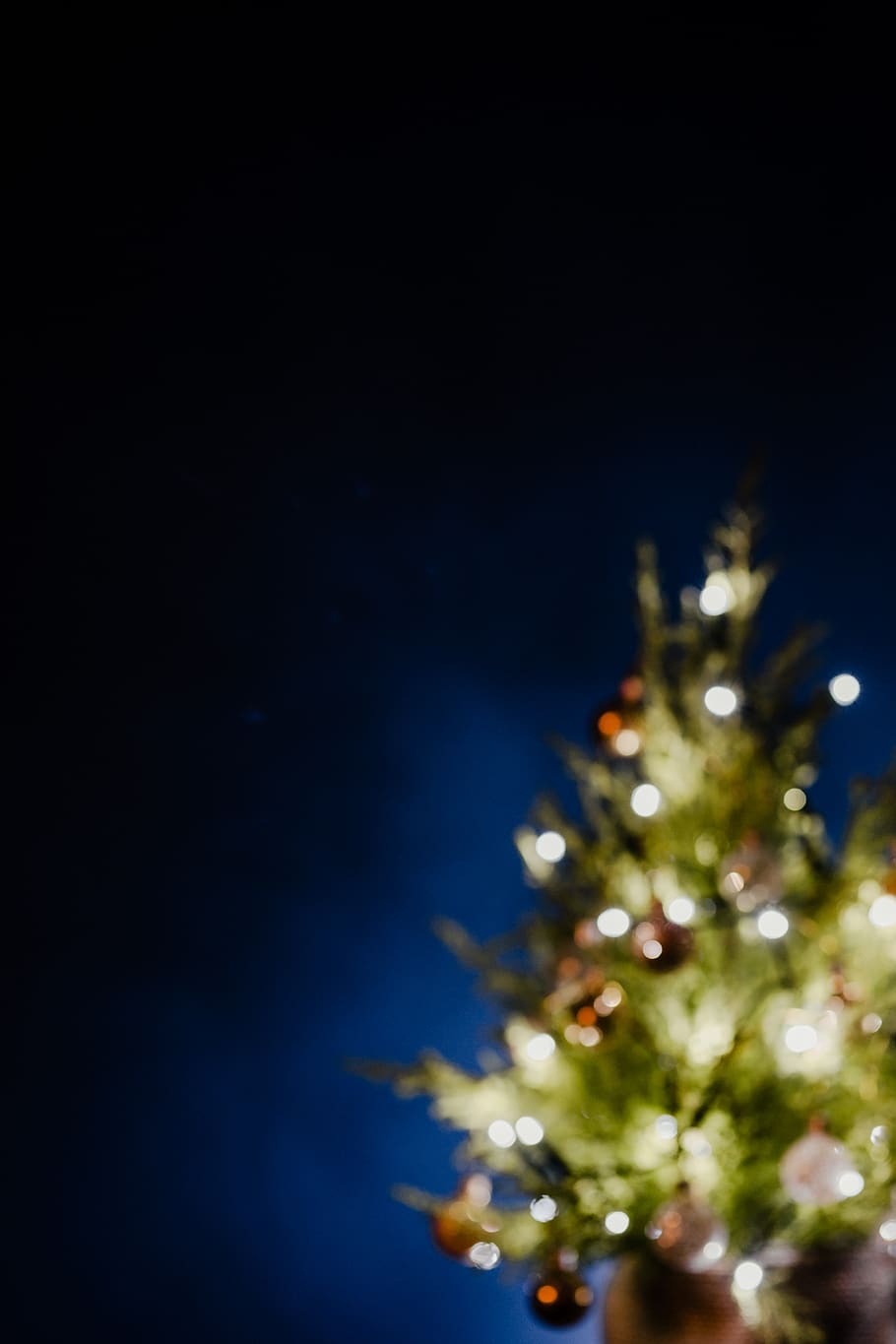 árbol de navidad borrosa, borrosa, luces, luces de navidad, espacio de la copia, árbol, azul marino, azul, fondo, planta