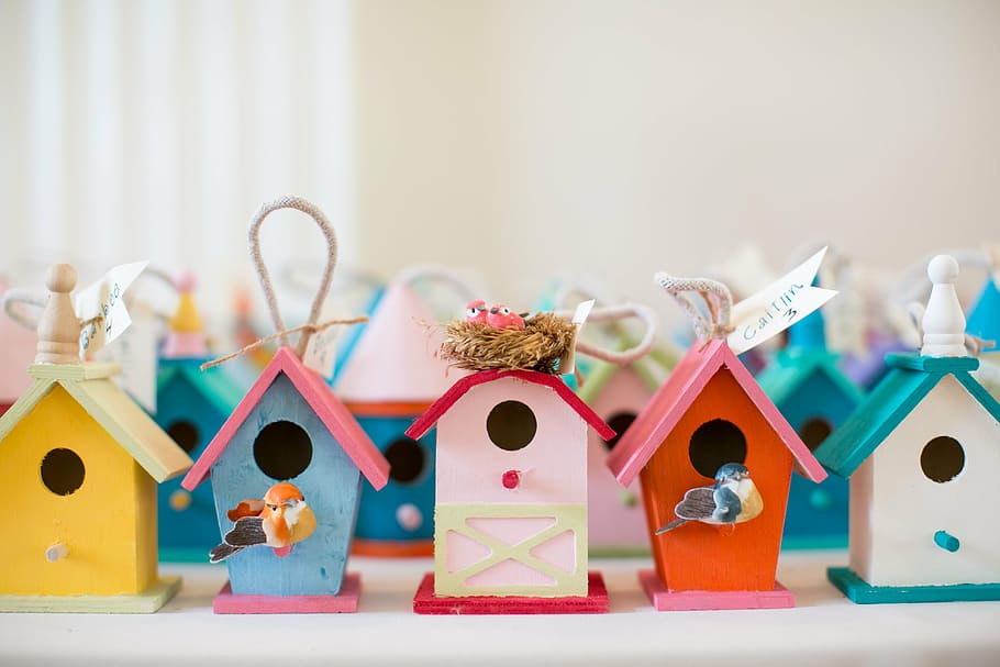 assorted-color wooden birdhouses, gift, houses, keepsakes, birdhouse, bird, decoration, animal Nest, wood - Material, creativity