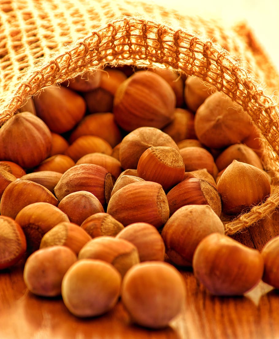 hazelnuts, nuts, eat, tasty, food, christmas, benefit from, food and drink, nut, healthy eating