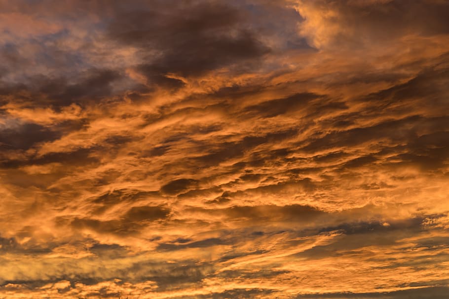 puesta de sol, cielo, nubes, naranja, gris, cloudscape, clima, delicado, fondo, australia