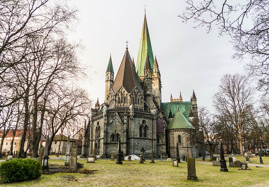 cathedral, surrounded, trees, plants, trondheim, norway, nidaros cathedral, architecture, europe, scandinavia