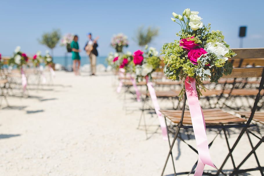 selectivo, fotografía de enfoque, blanco, rosa, flores de pétalos, sillas, playa, tema, boda, pasillo