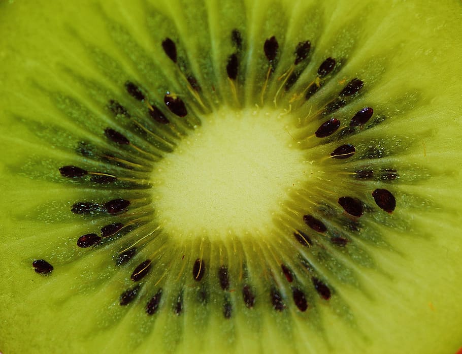 Kiwi, Fruit, Healthy, Vitamins, Food, kiwi, fruit, green, delicious, eat, still life