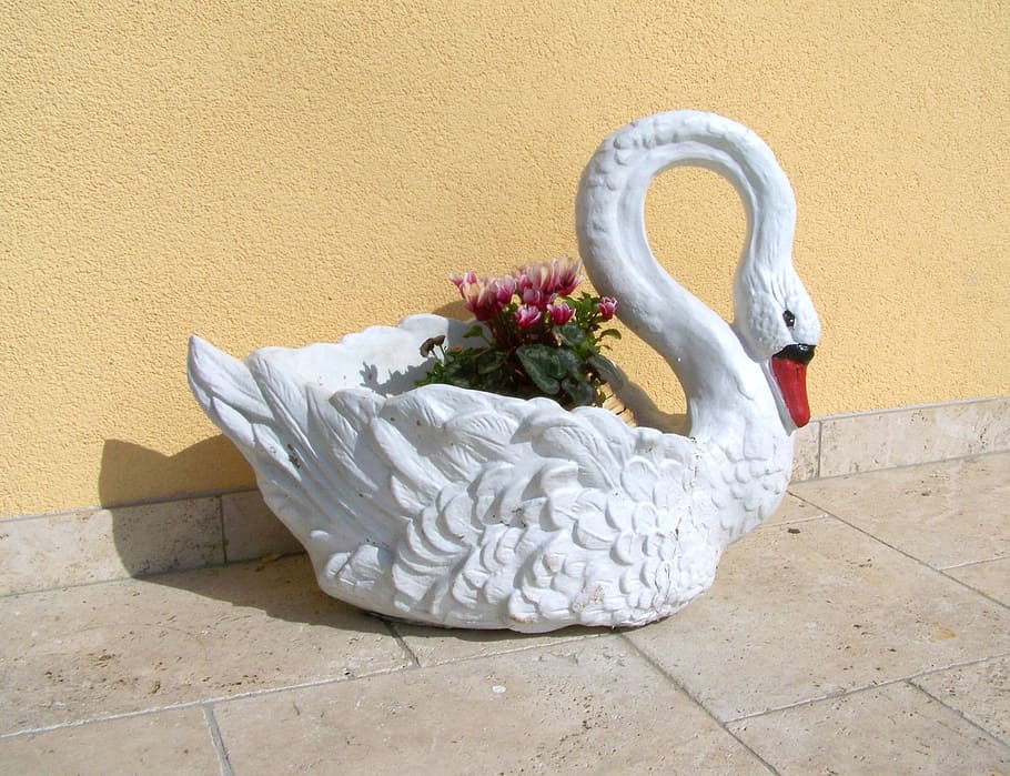 swan, garden decor, spring flower, wall - building feature, art and craft, flower, nature, day, plant, flowering plant