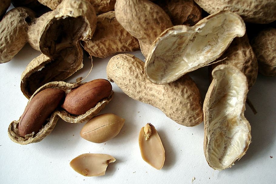 peanuts, nuts, cores, snack, food, food and drink, freshness, indoors, wellbeing, still life