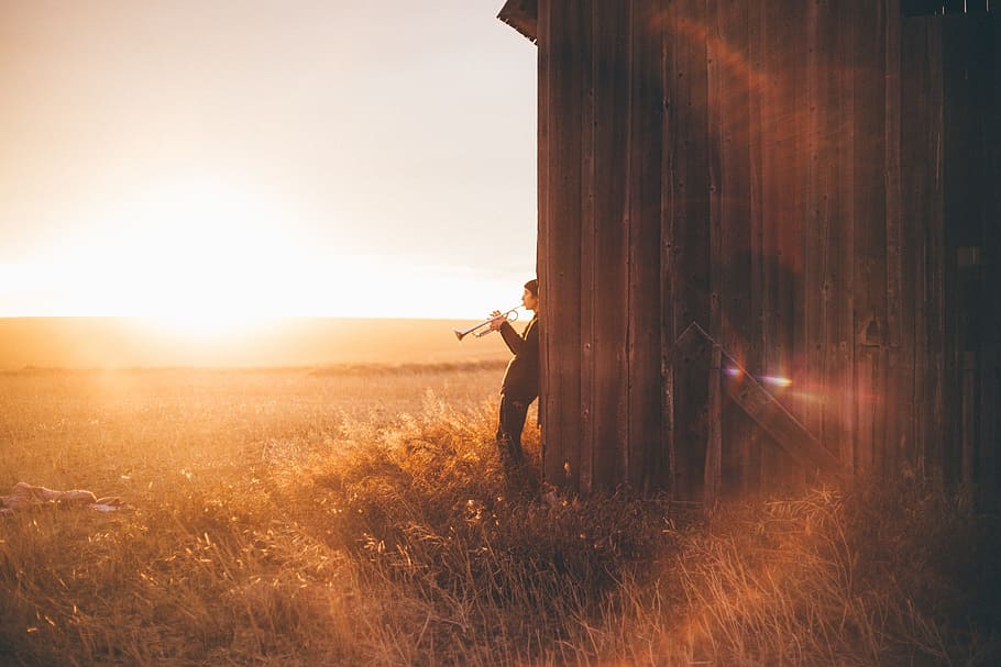 person, holding, trombone, leaning, brown, wooden, house, golden, hour, people