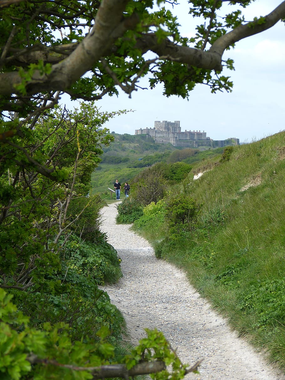 white cliffs, dover castle, coast, path, away, coastal path, england, united kingdom, plant, tree