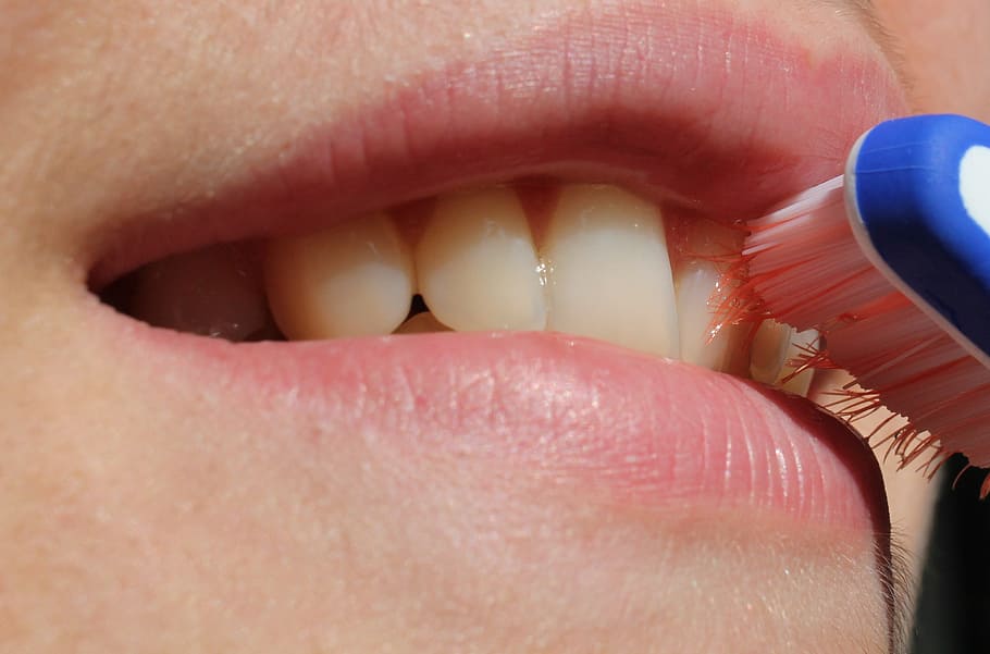 person's teeth, toothbrush, smile, teeth, mouth, oral, dental, health, hygiene, health care