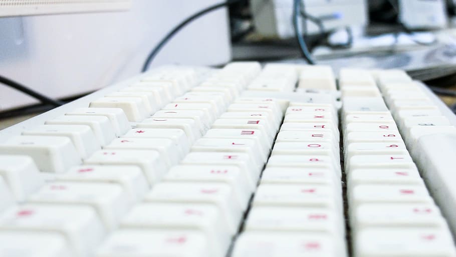 raso, fotografia com foco, branco, teclado de computador, rosa, com fio, teclado, computador, borrão, eletrônico