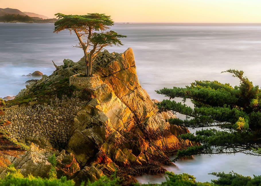 rock formation, trees, body, water, daytime, pebble beach, california, sea, ocean, pacific
