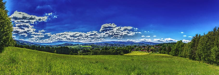 green, grass field, surrounded, trees, blue, sky, daytime, panorama, bavarian forest, forest