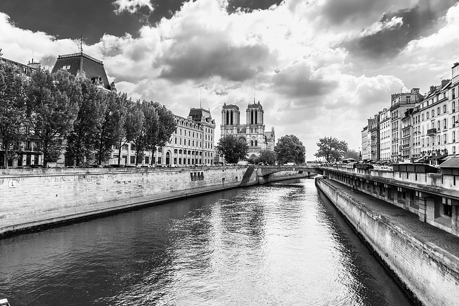 fotografía en escala de grises, cuerpo, agua, edificios, París, Notre Dame, en blanco y negro, catedral, Francia, francés