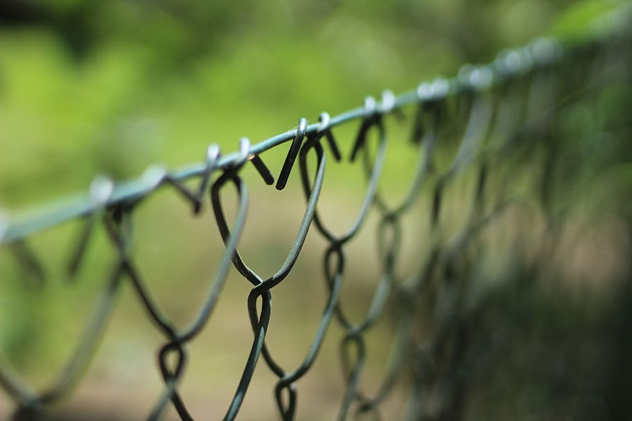 wire mesh fence, the fence, wire, fencing, fence, security, protection, metal, day, barrier