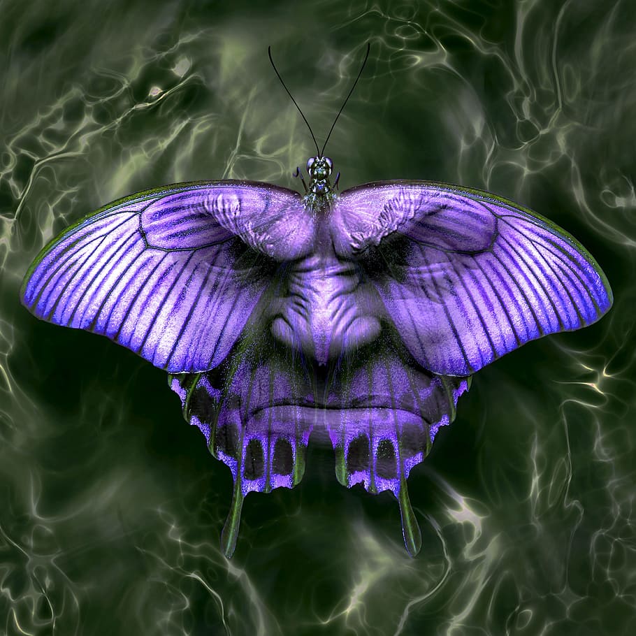 purple, black, swallowtail butterfly realism illustration, cd cover, fantasy, butterfly, face, dream, mystical, weird