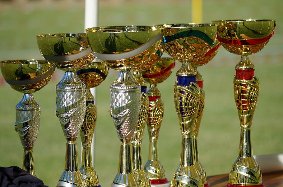 assorted-color trophys, win, cup, competition, place, reward, medal, celebration, award, trophy