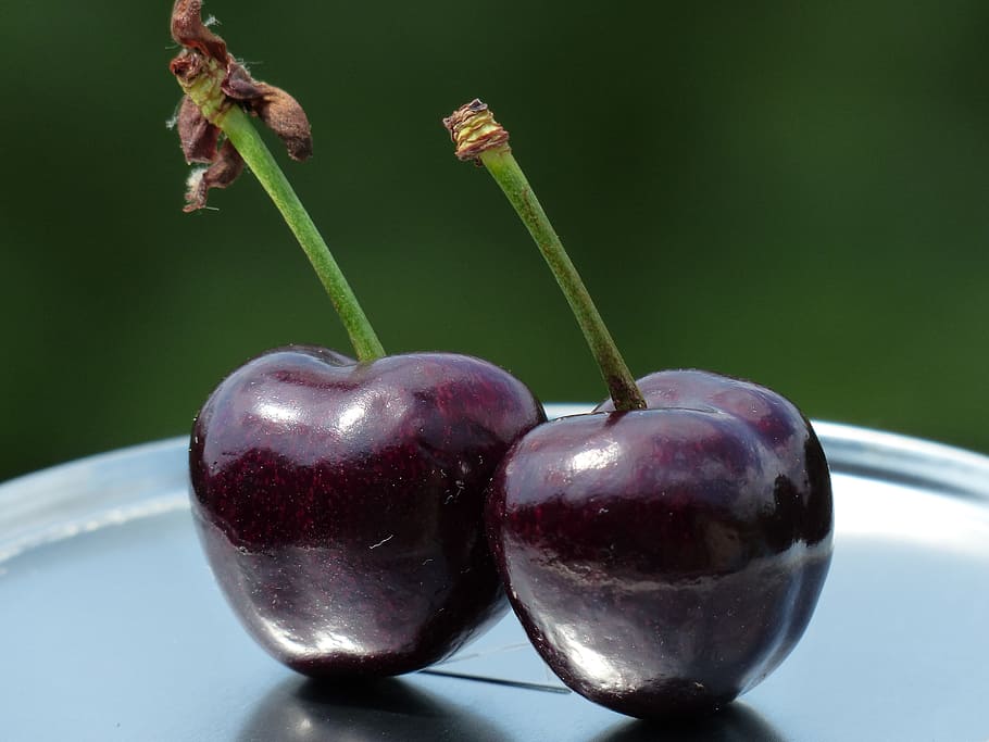 two purple fruits, Cherries, Fruit, Sweet, Purple, red, ripe, over ripe, sweet cherries, summer fruit