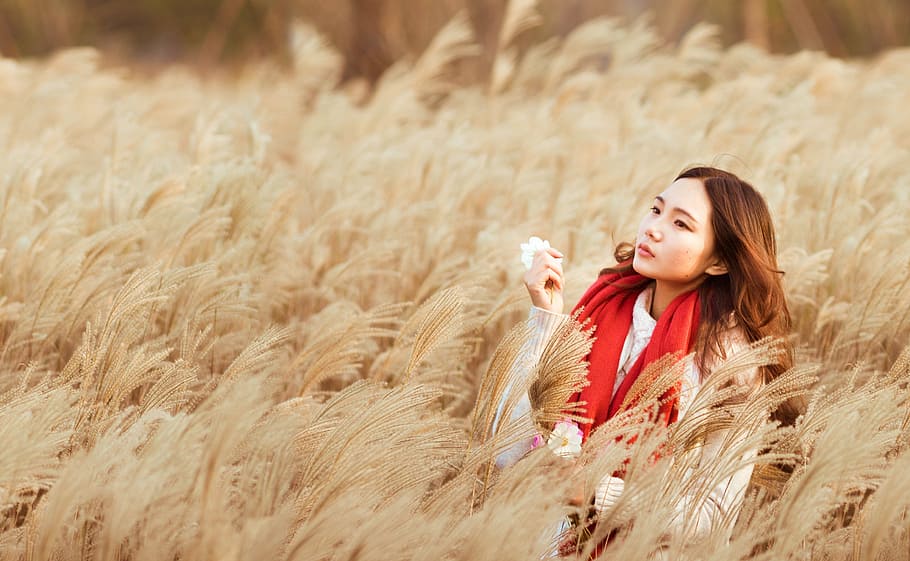 woman, field, daytime, girls, girl with a red scarf, reeds girl, beauty, reed, autumn, warm color
