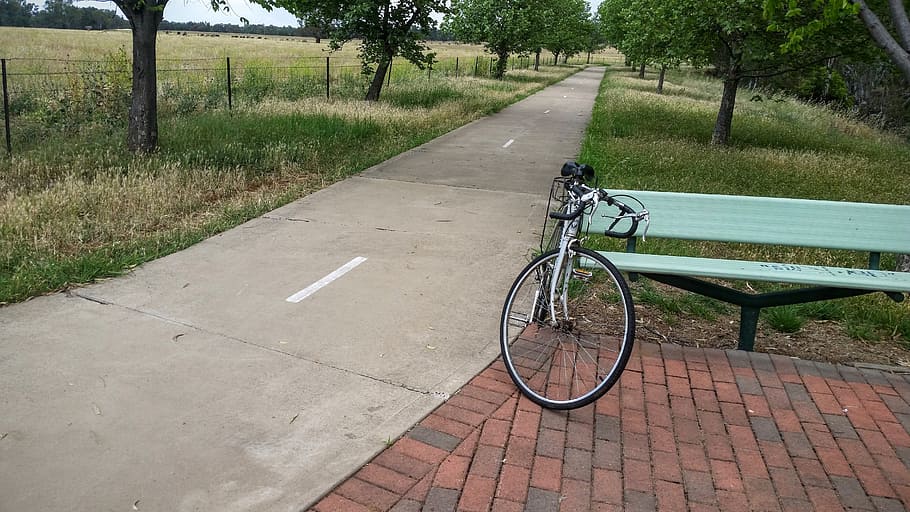 自転車, 小道, 並木, 自転車道, 座席, 公園のベンチ, 農地, パドック 