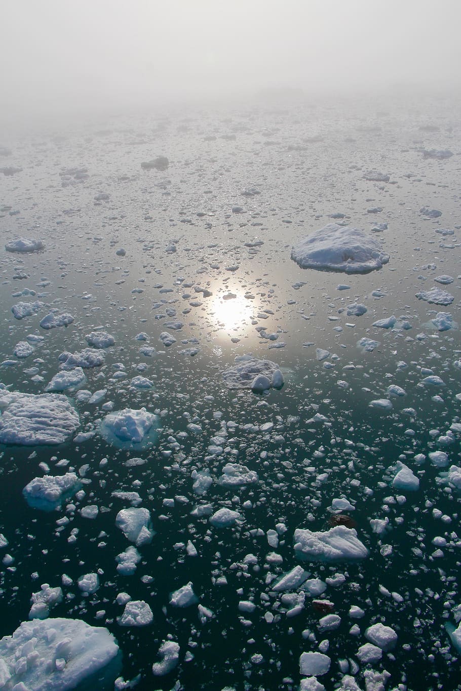 ártico, círculo polar ártico, groenlandia, ilulissat, iceberg, flujo de hielo, fiordo de hielo, reflexión, mar ártico, crucero
