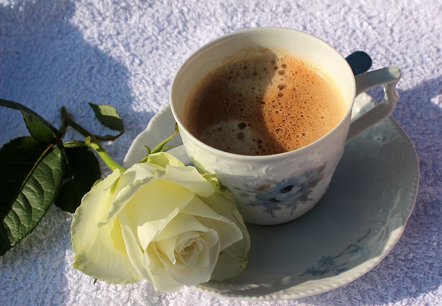 white, rose, teacup, filled, coffee, coffee cup, cup, saucer, good morning, white rose