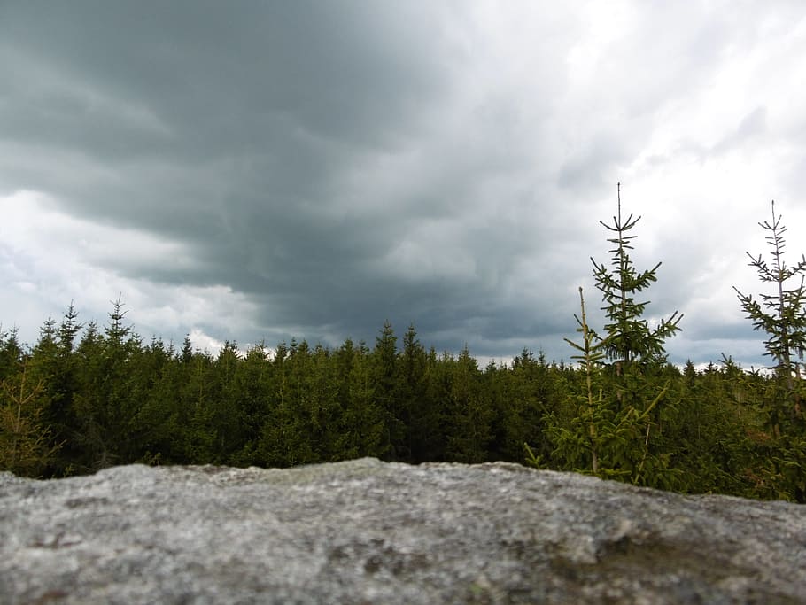 forest, stoves, nature, rock, landscape, stony, clouds, trees, conifers, green