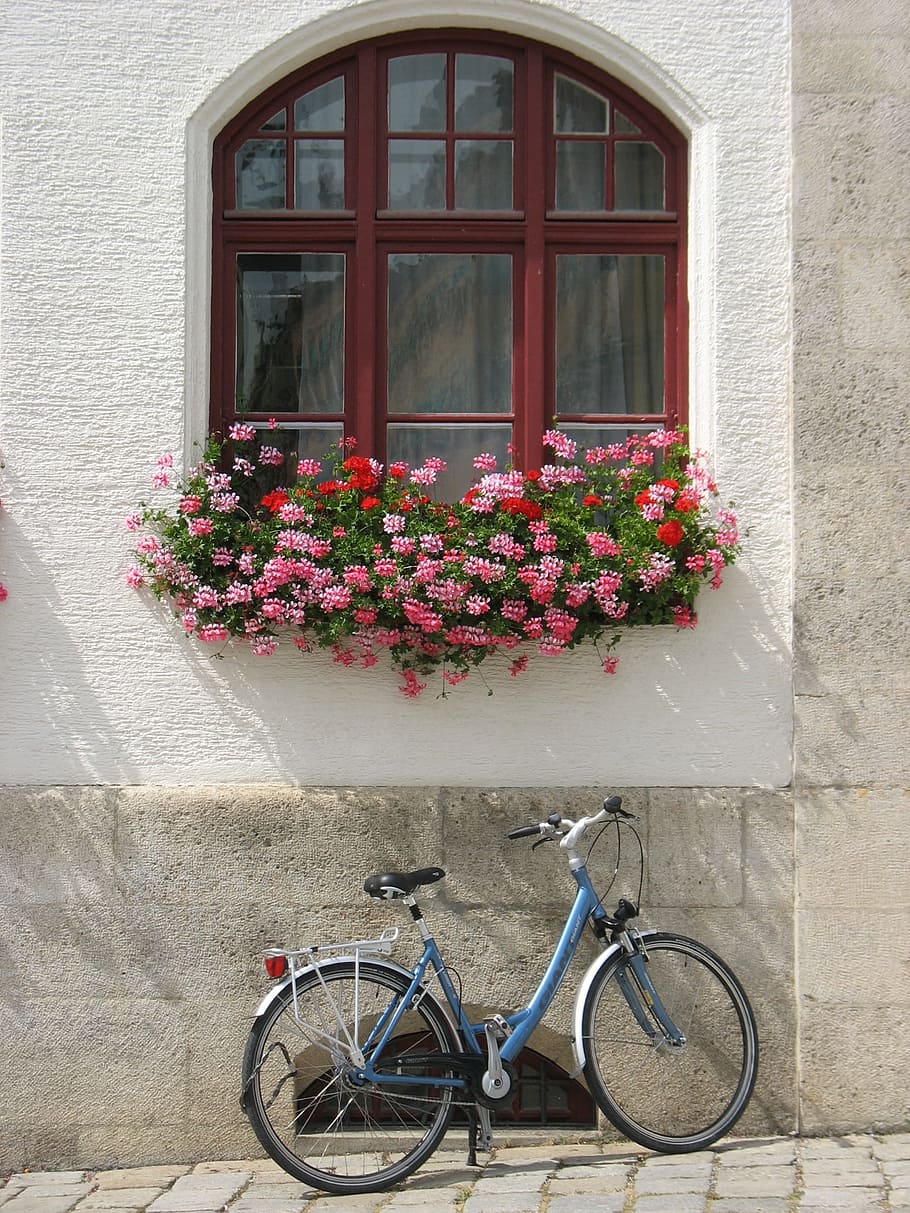 blue, commuter bike, parked, concrete, building, germany, bicycle, window, bike, germany street
