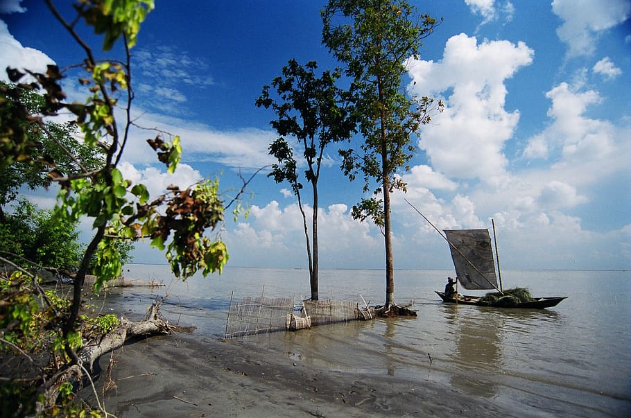 bangladesh, boat, river, sky, water, tree, plant, nature, cloud - sky, day