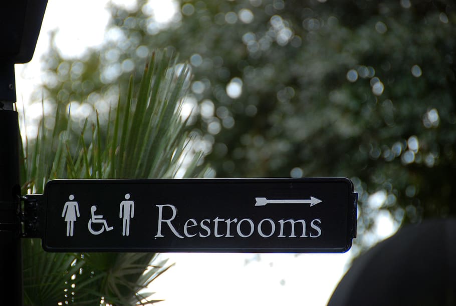 sinal, banheiro, símbolo, ícone, pessoas, público, wc, higiene, lavar, informações
