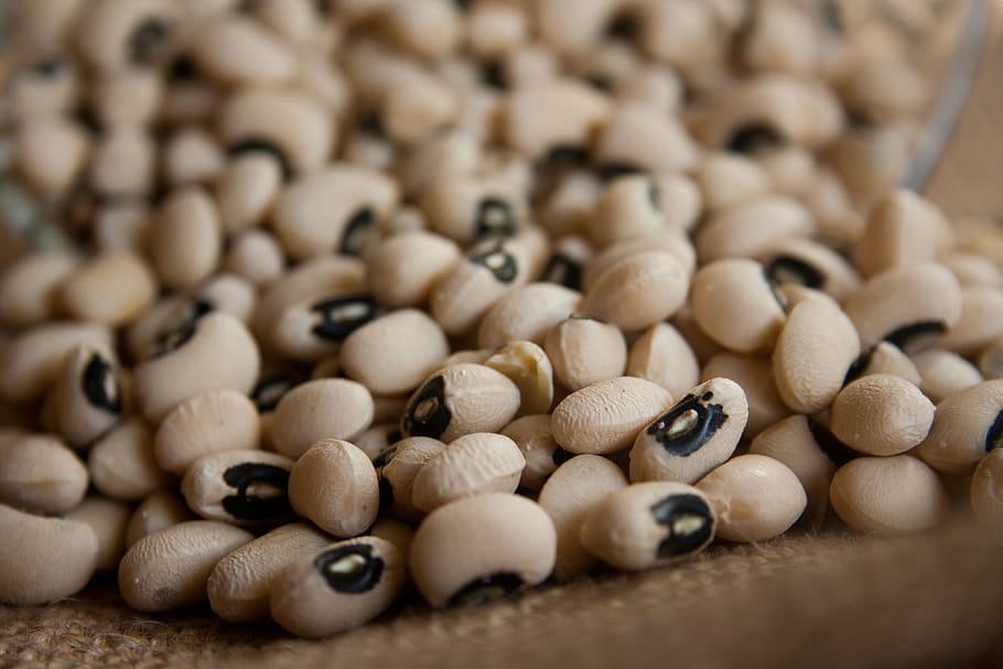 kidney beans, beans, dry, legumes, pulses, close-up, selective focus, indoors, large group of objects, still life
