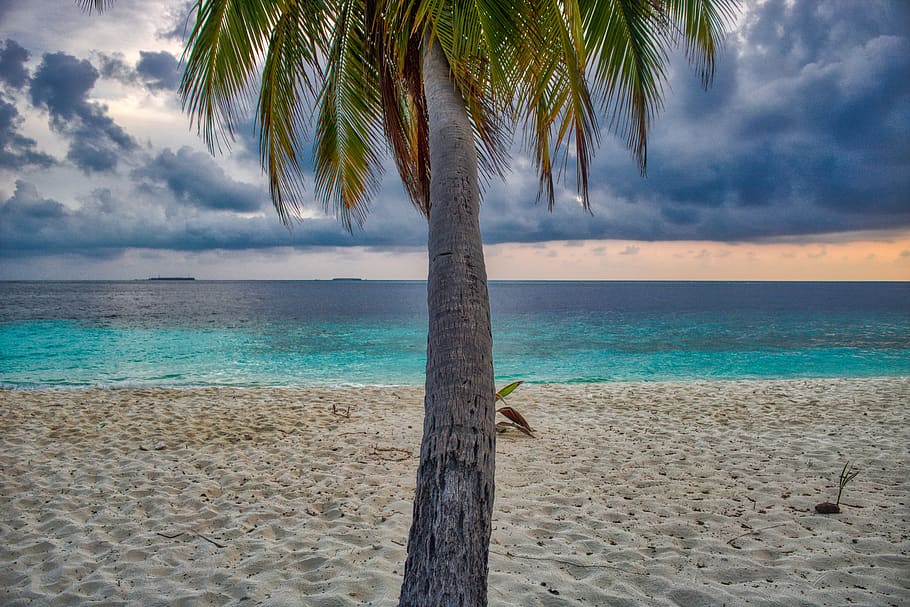 panorama, oceano, praia, Pôr do sol, verão, luxo, onda, nuvem, Maldivas, natureza
