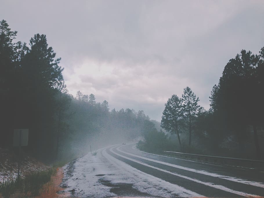 road, highway, snow, winter, guard rail, trees, forest, woods, car, fog